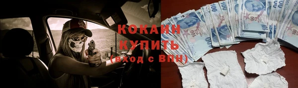 дмт Абаза