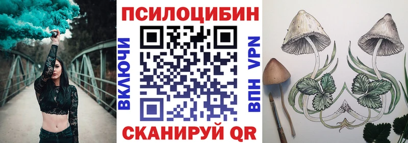 закладка  Алатырь  Галлюциногенные грибы мухоморы 