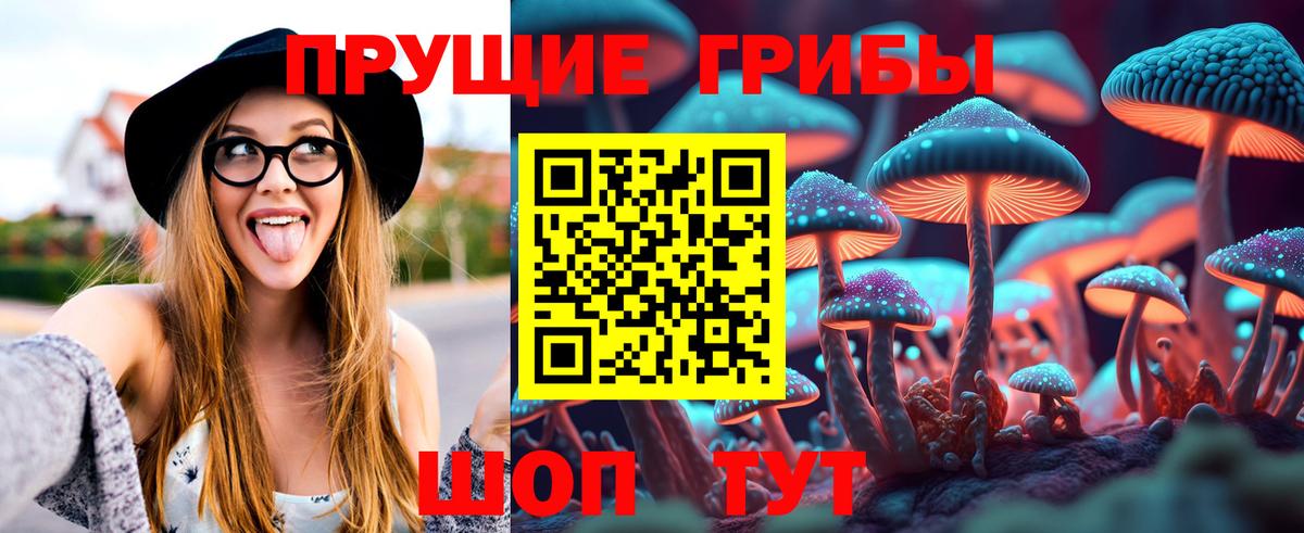 Псилоцибиновые грибы GOLDEN TEACHER  Псилоцибиновые грибы Psilocybine cubensis  Вход с VPN  Алатырь 